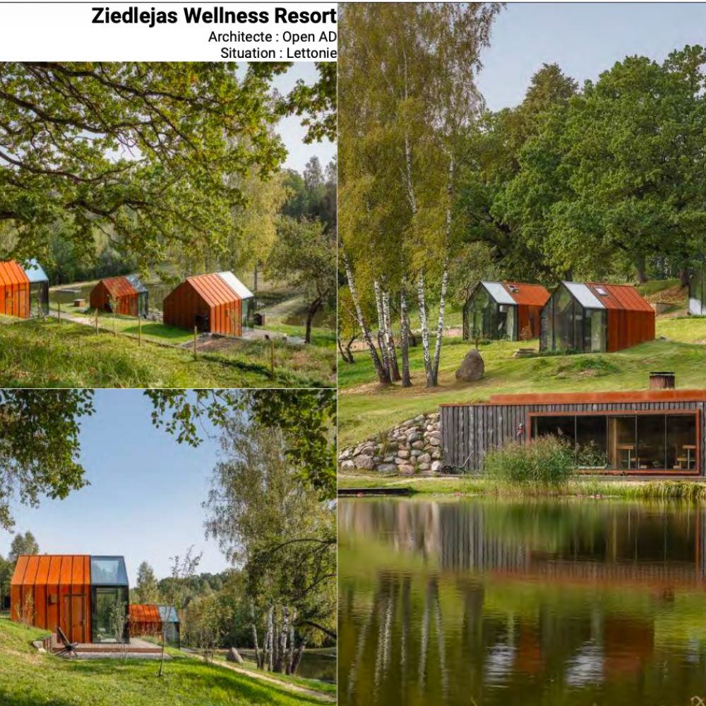 queven inspiration (2)